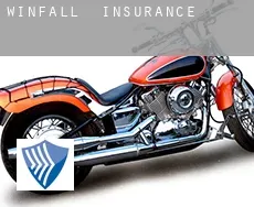 Winfall  insurance