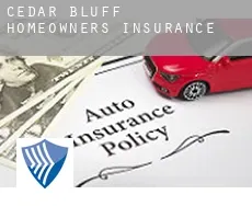 Cedar Bluff  homeowners insurance
