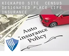 Kickapoo Site 2  life insurance