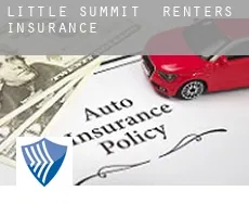 Little Summit  renters insurance