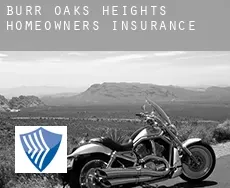 Burr Oaks Heights  homeowners insurance