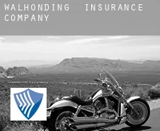 Walhonding  insurance company