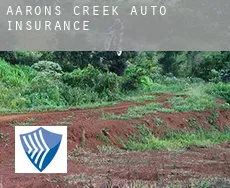 Aarons Creek auto insurance