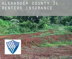 Alexander County  renters insurance