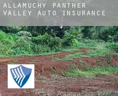 Allamuchy-Panther Valley auto insurance