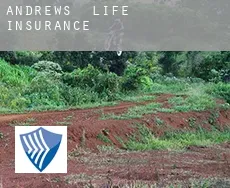 Andrews  life insurance