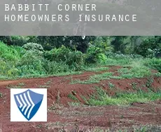 Babbitt Corner  homeowners insurance