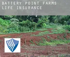 Battery Point Farms life insurance