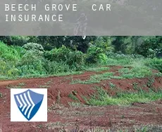 Beech Grove  car insurance