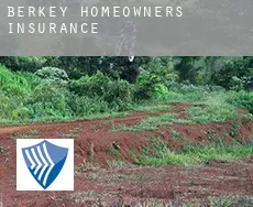 Berkey  homeowners insurance