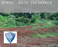 Borax  auto insurance