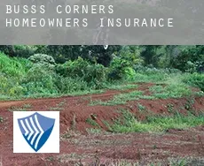 Buss's Corners  homeowners insurance