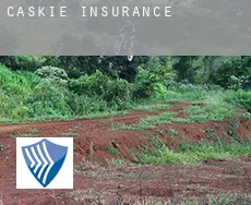 Caskie  insurance