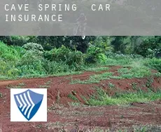 Cave Spring car insurance