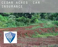 Cedar Acres  car insurance