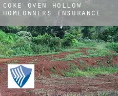 Coke Oven Hollow  homeowners insurance