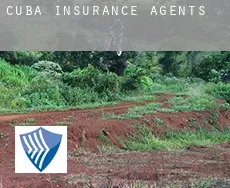 Cuba  insurance agents