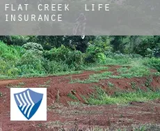 Flat Creek  life insurance