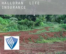 Halloran  life insurance