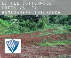 Little Cottonwood Creek Valley  homeowners insurance