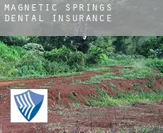 Magnetic Springs  dental insurance