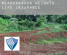 Meadowbrook Heights  life insurance