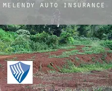 Melendy  auto insurance