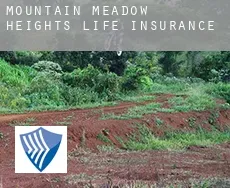 Mountain Meadow Heights  life insurance