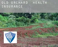 Old Orchard  health insurance