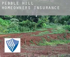 Pebble Hill  homeowners insurance