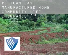 Pelican Bay Manufactured Home Community  life insurance
