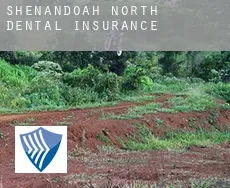 Shenandoah North dental insurance
