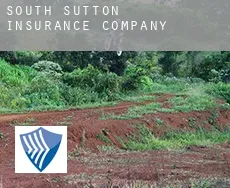 South Sutton  insurance company