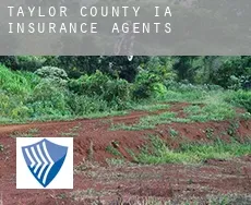 Taylor County insurance agents