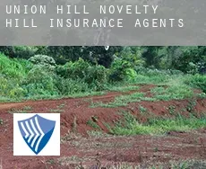 Union Hill-Novelty Hill  insurance agents