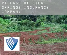 Village of Gila Springs  insurance company