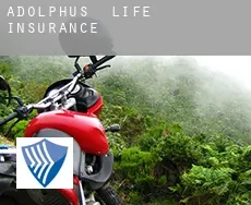 Adolphus  life insurance