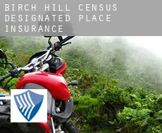 Birch Hill  insurance