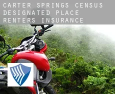 Carter Springs  renters insurance