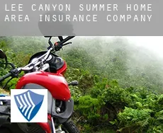 Lee Canyon Summer Home Area  insurance company