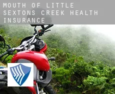 Mouth of Little Sextons Creek  health insurance