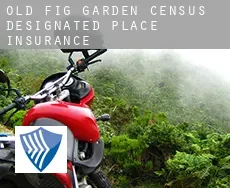 Old Fig Garden  insurance