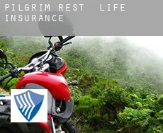 Pilgrim Rest  life insurance