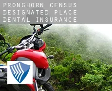 Pronghorn  dental insurance