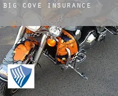 Big Cove  insurance