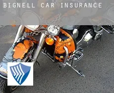 Bignell  car insurance