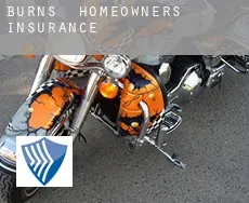 Burns  homeowners insurance