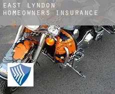 East Lyndon  homeowners insurance