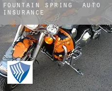 Fountain Spring  auto insurance