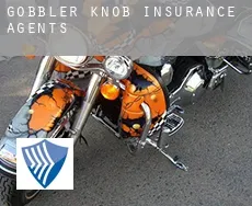 Gobbler Knob  insurance agents